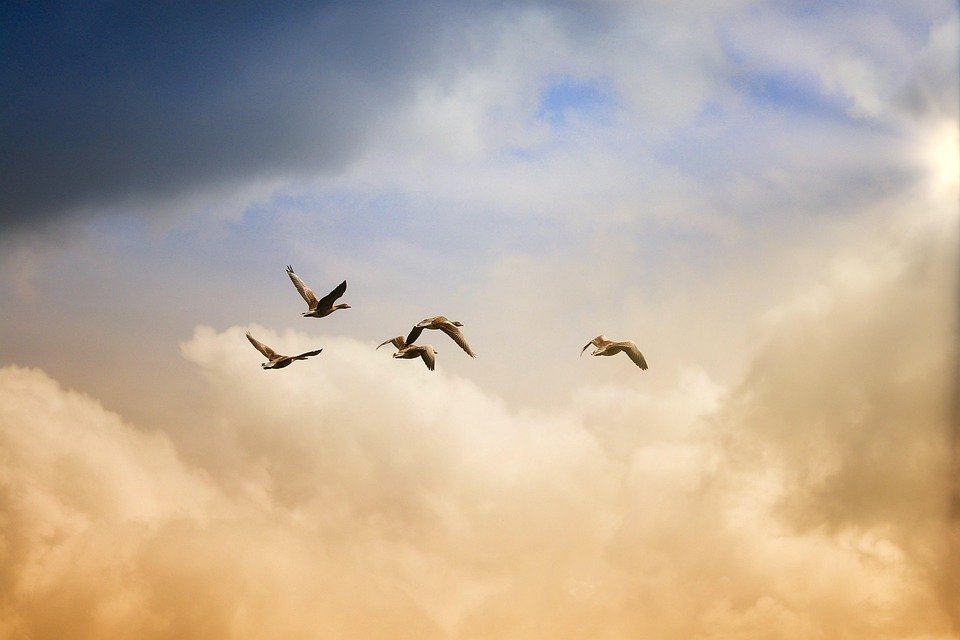 Read more about the article Break Free: Reclaiming Your Life Beyond the Job