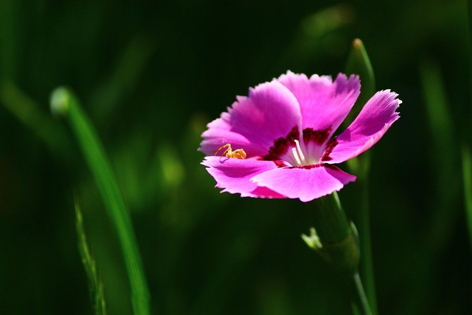 Read more about the article Platonic Love: Understanding the Concept Beyond Romance