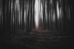 Read more about the article Fear as a Teacher: Lessons Learned from Confronting Our Anxieties