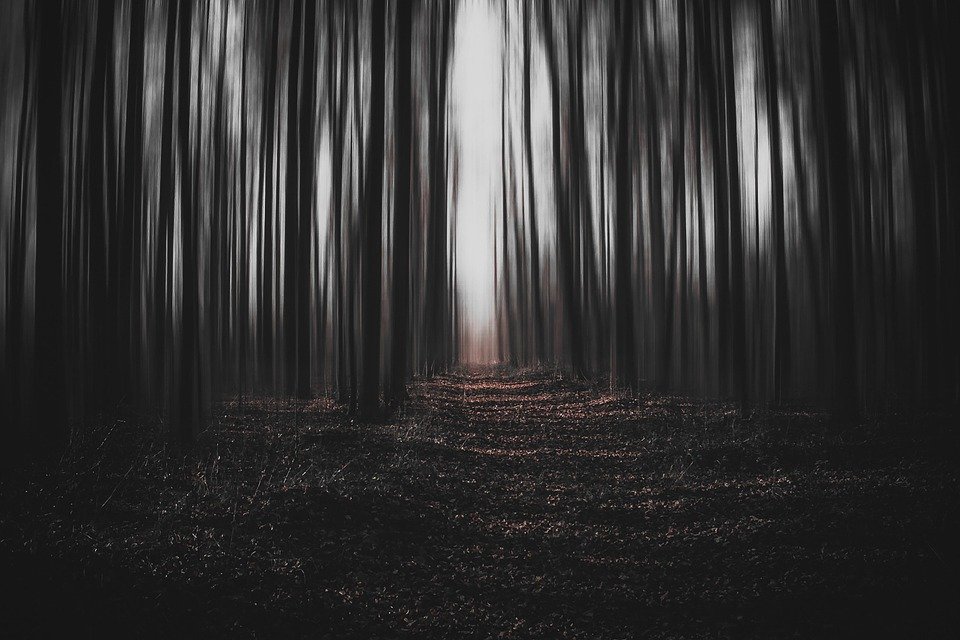 Read more about the article Fear as a Teacher: Lessons Learned from Confronting Our Anxieties