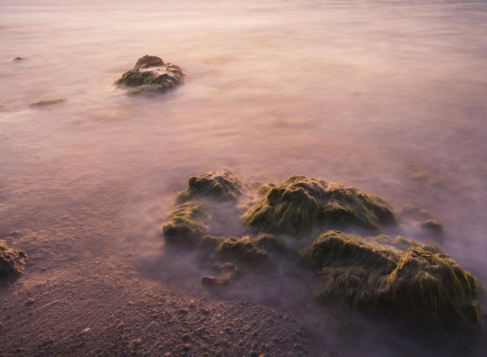 Read more about the article Plato and the Nature of Knowledge: The Theory of Forms Explained
